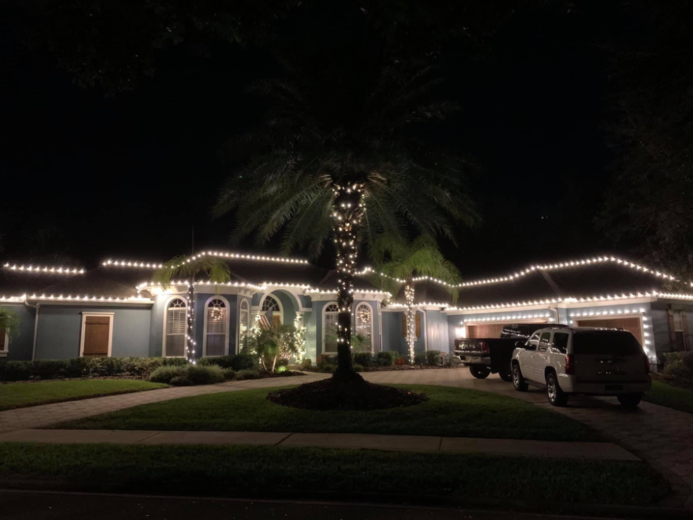 Warm White Lights