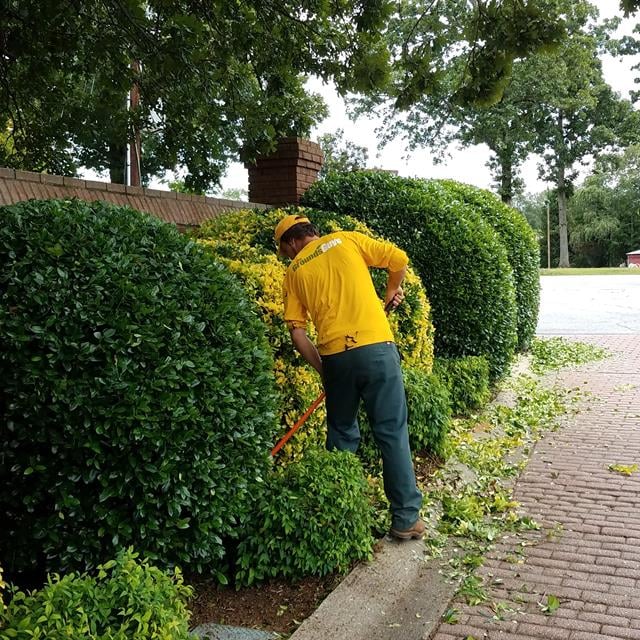 Clearing the grass