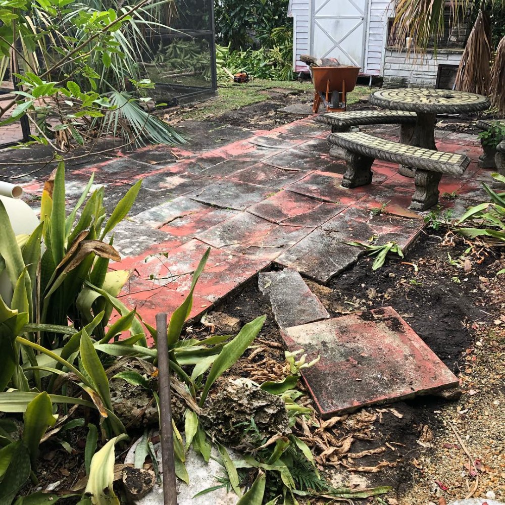 Dirty and unclean walkway with detached tiles