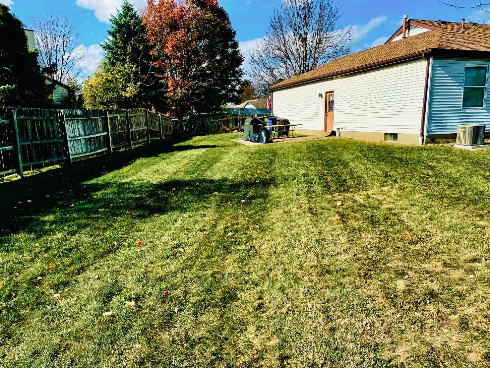 Fall Cleanup