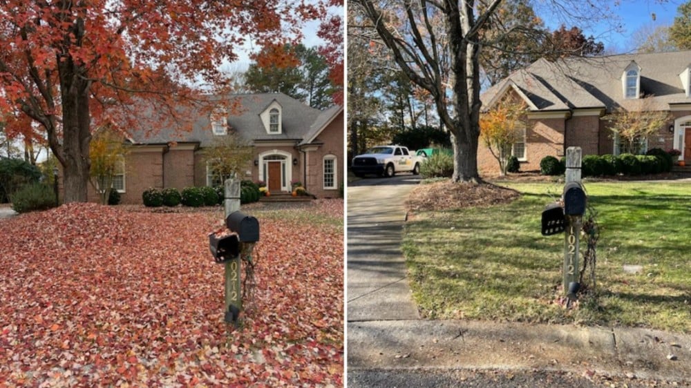 Fall Leaf Clean-up