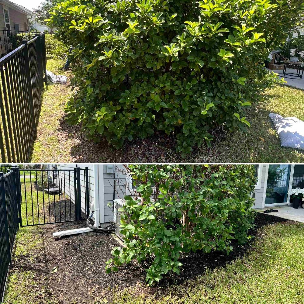 Fall and Spring Landscape Cleanups