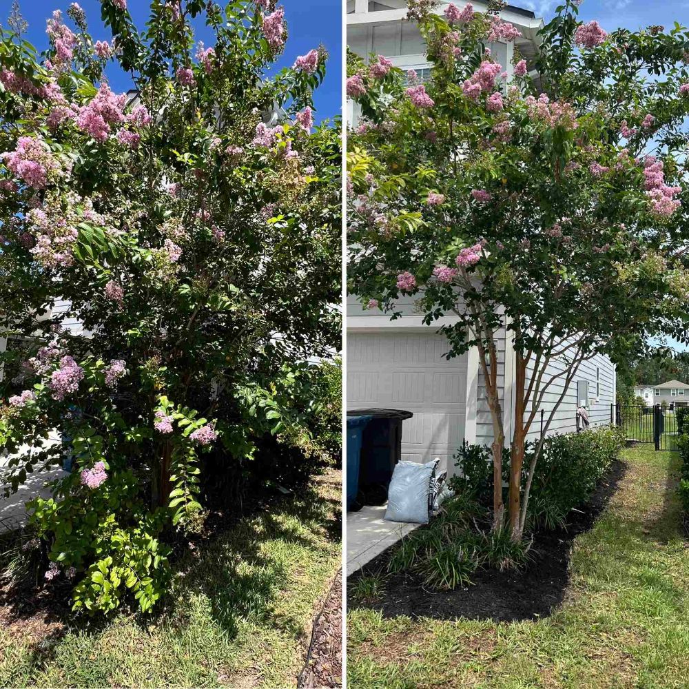 Fall and Spring Landscape Cleanups