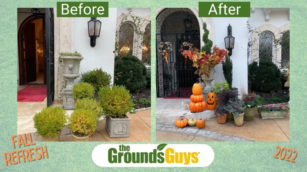 Fall refresh
