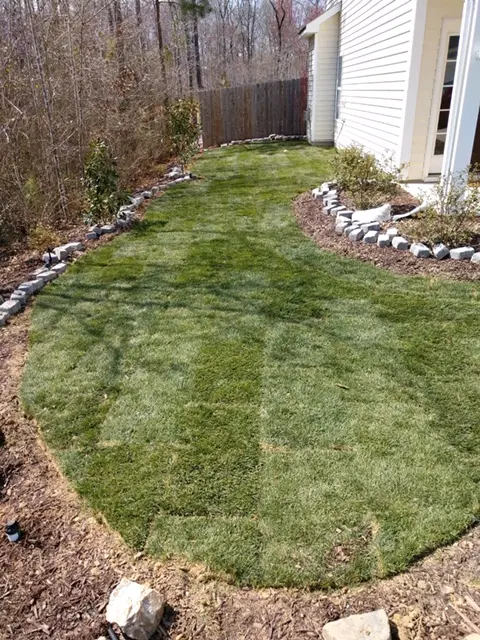 landscape designs 