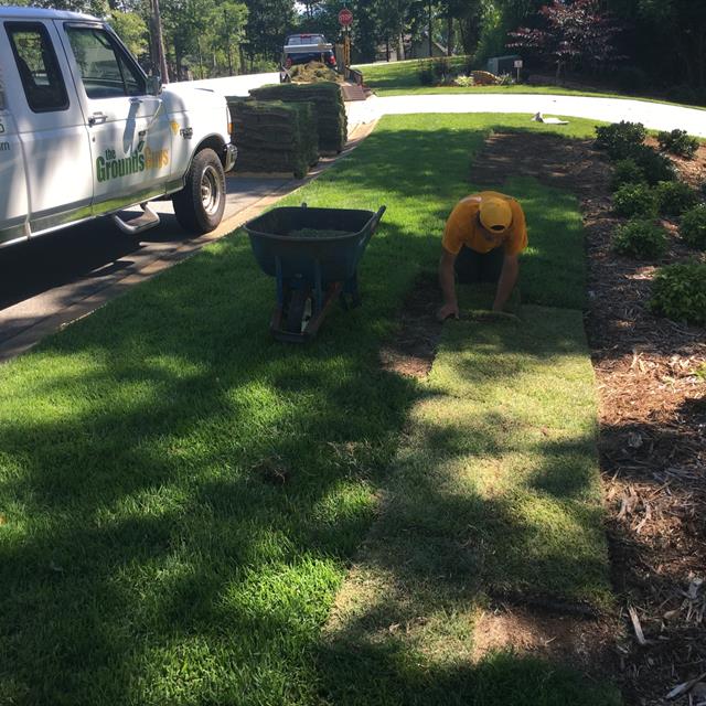 Fixing the lawn