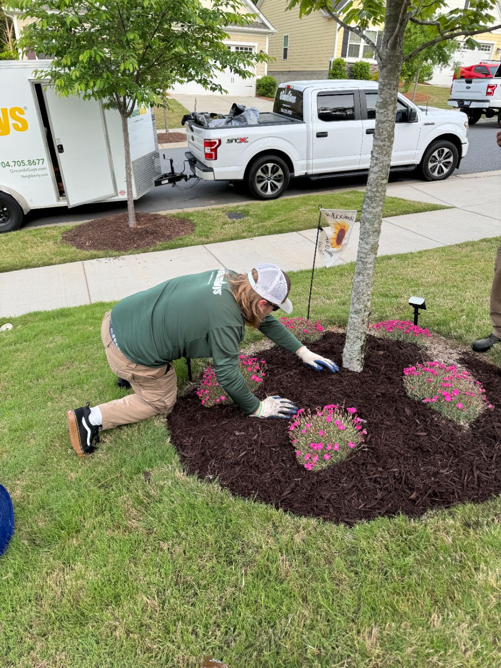 A dedicated Grounds Guys employee carefully plants these seasonal flowers around our customer's front yard tree ring. Complete with shredded mulch, this yard is ready for Spring!