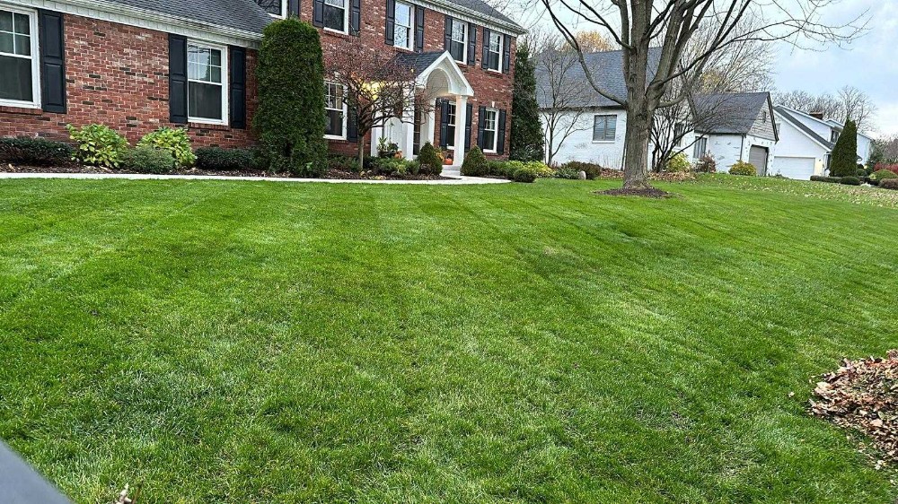 Freshly cut grass