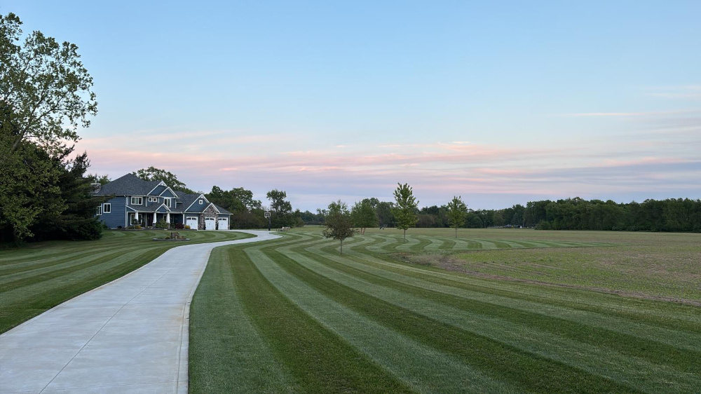 Freshly cut grass