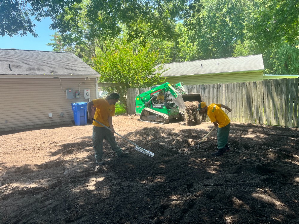Leveling out
