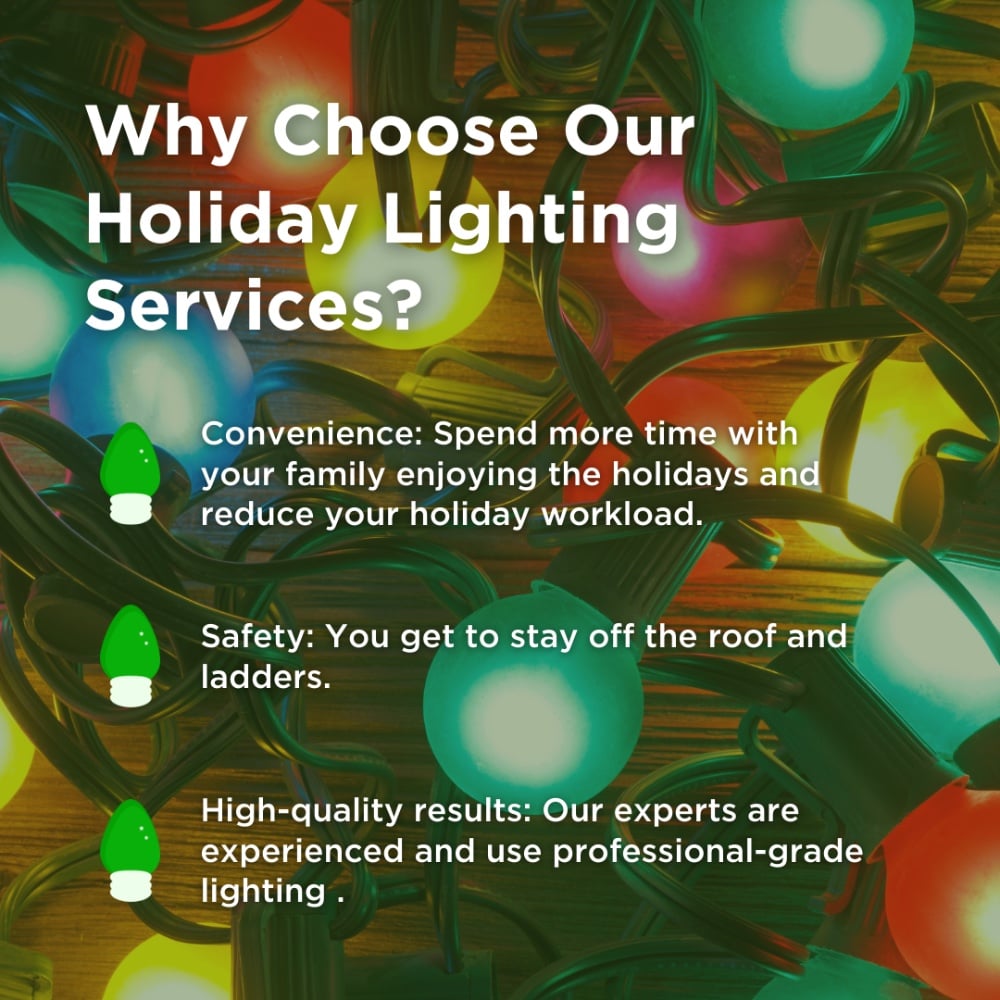 Holiday Lights