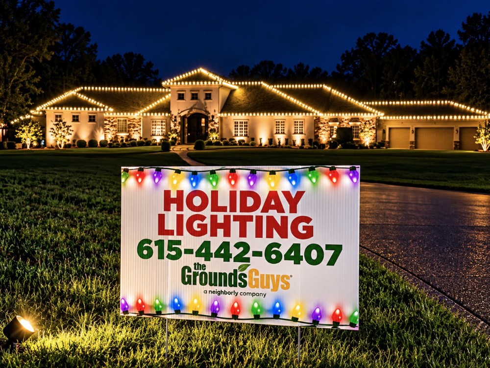 Holiday Lights