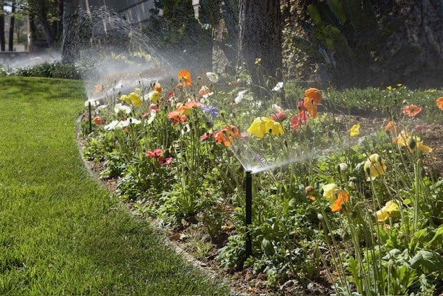 Irrigation sprays