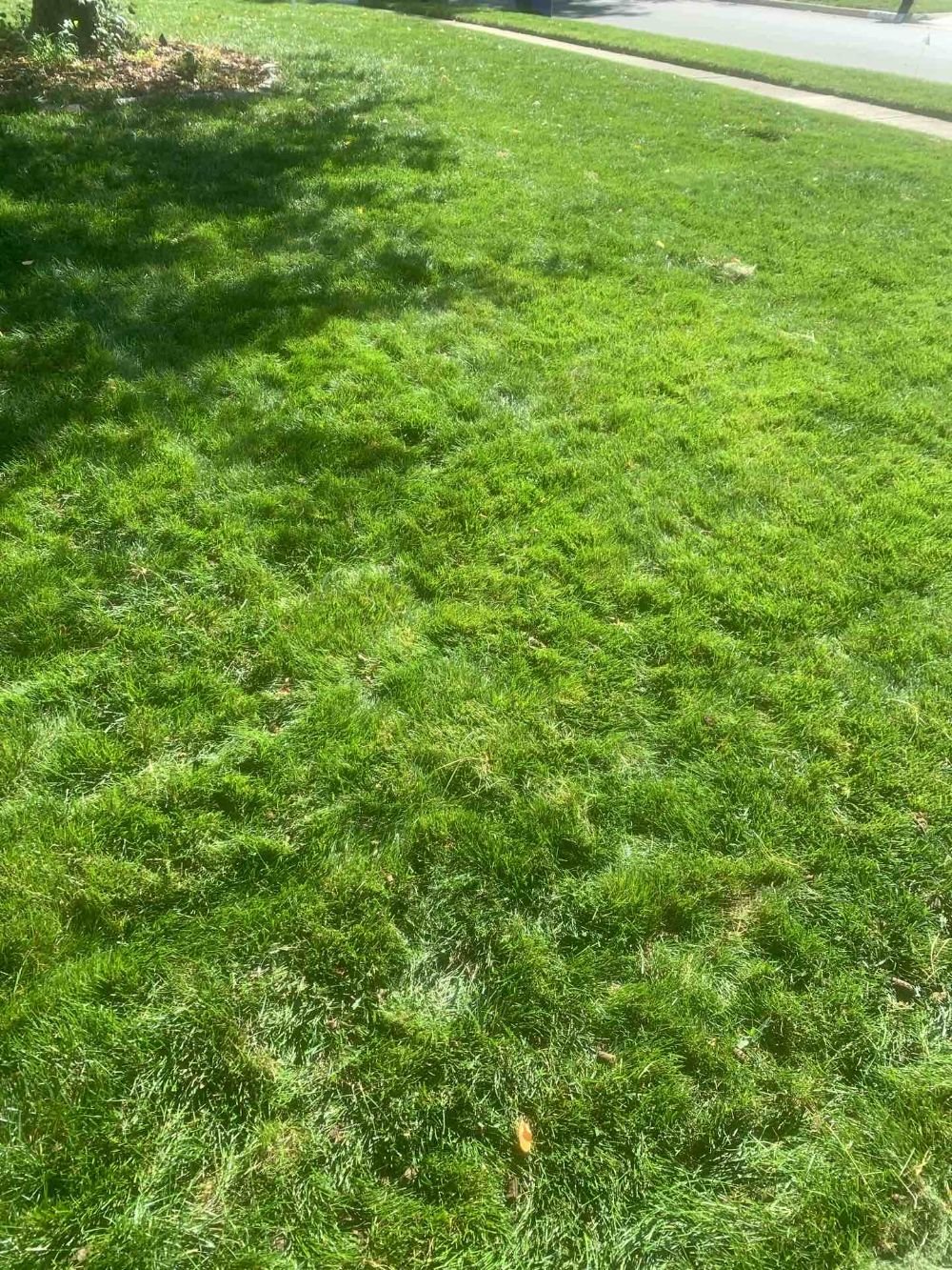 Aeration