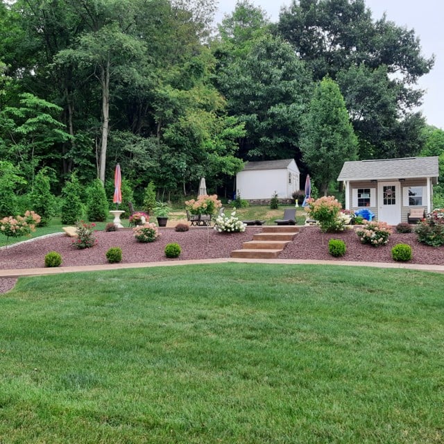 Lawn Area