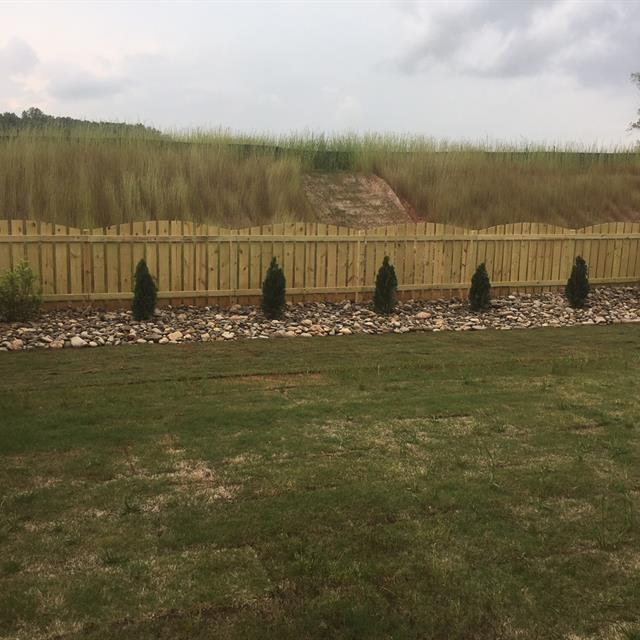Lawn Field