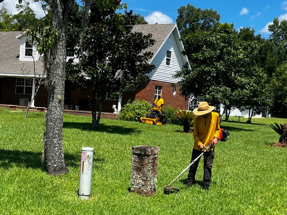 Lawn Maintenance