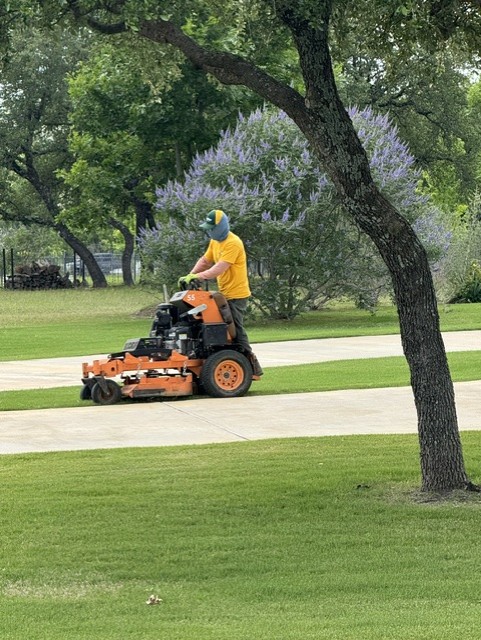 lawn maintenance