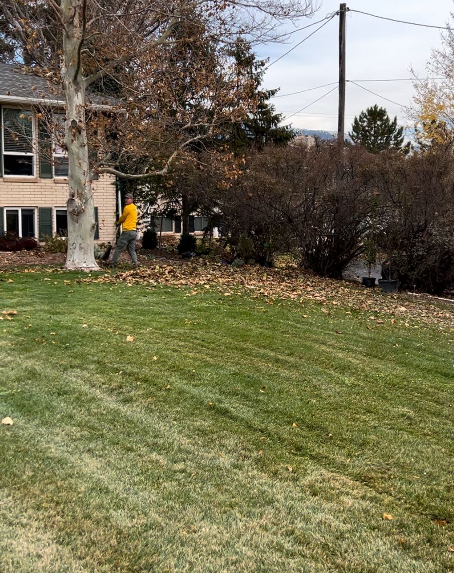 Leaf Cleanup