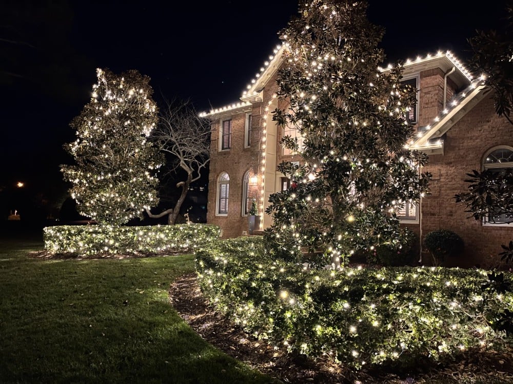 warm white lights