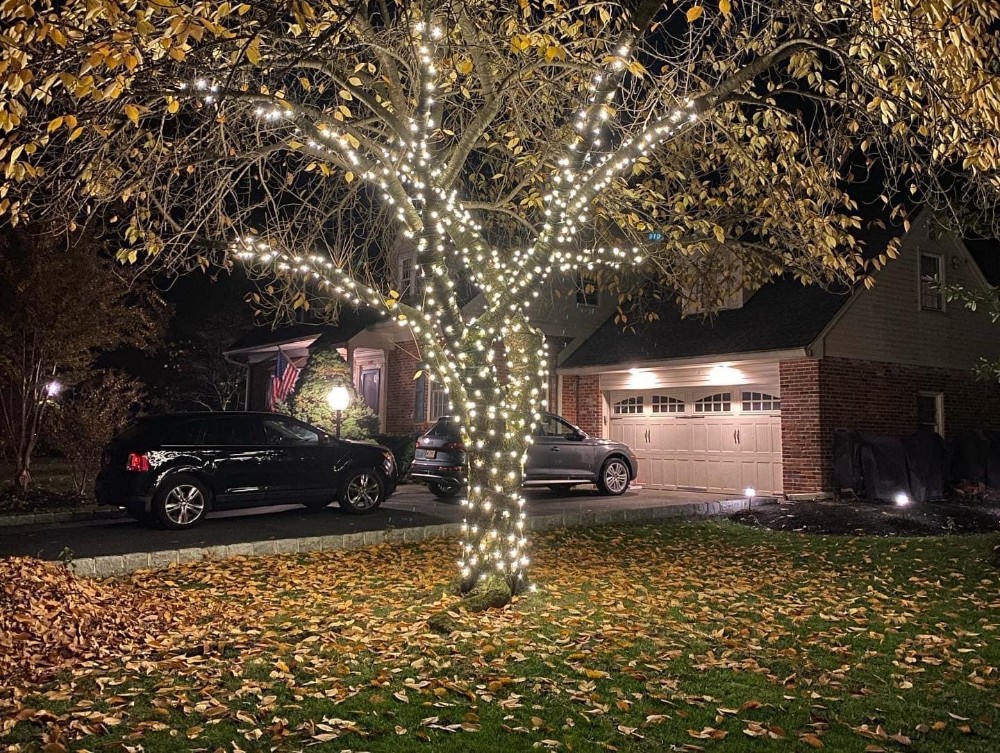 Lit Trees