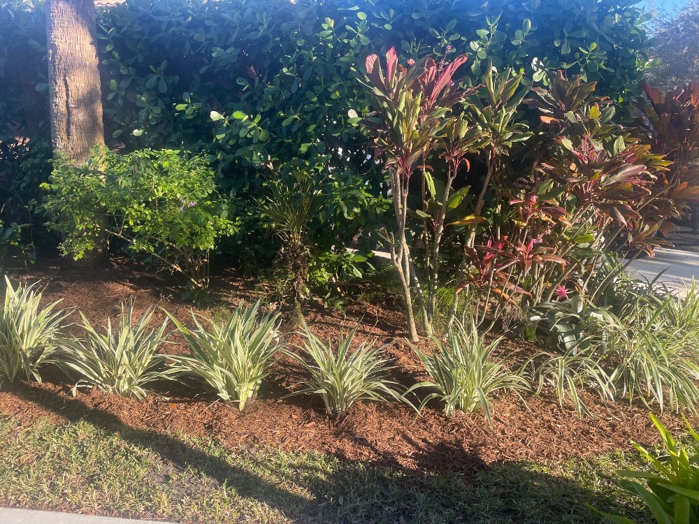 Mulch