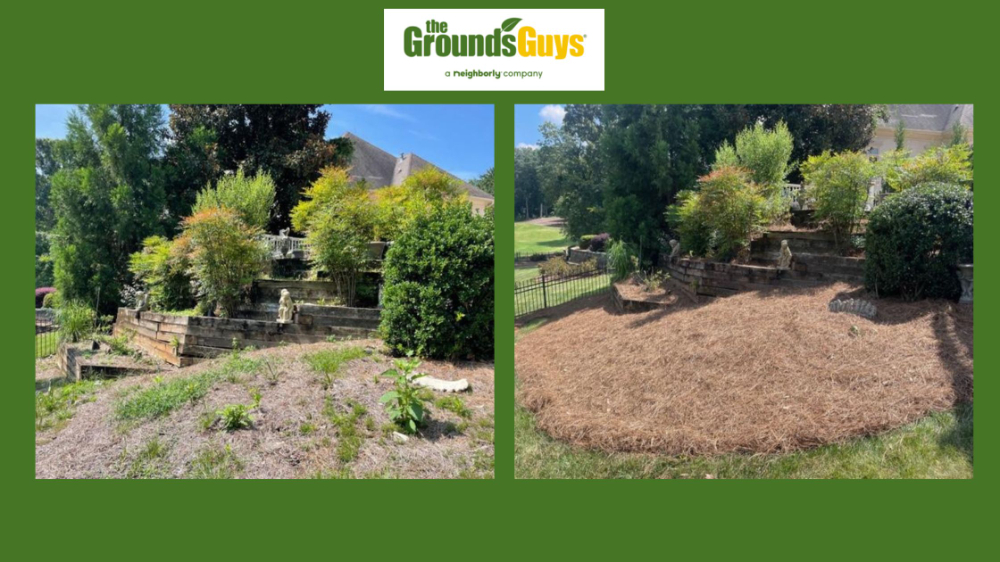 Mulch and clean up