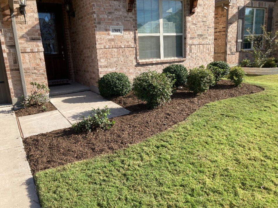 Mulch Installation in Prosper