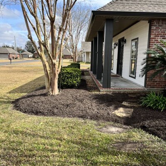 Neatly mowed Lawn