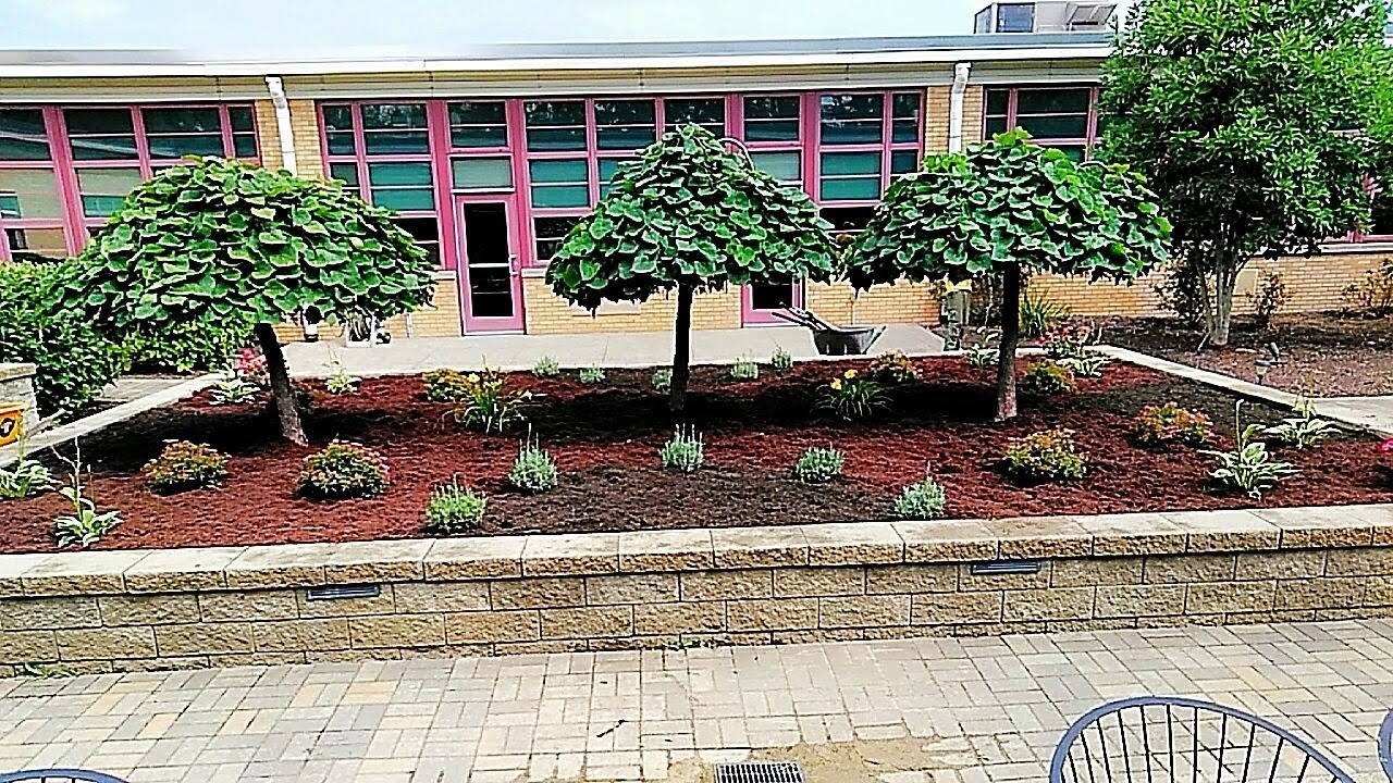 Planter 
