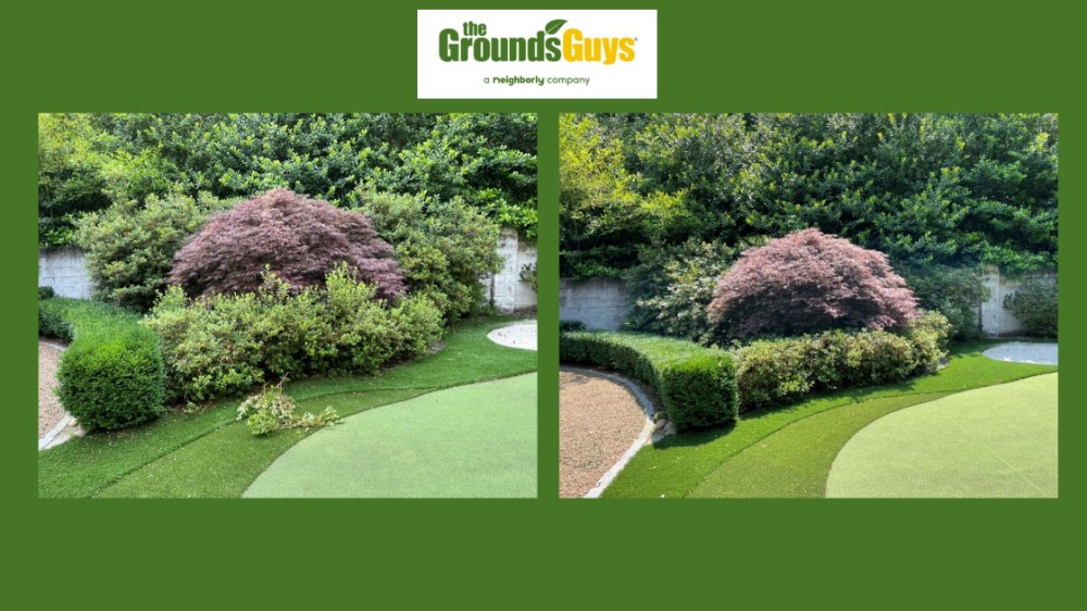 Shrub trimming and cleanup
