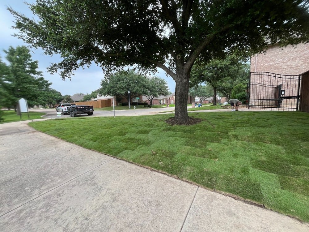 Sod Installation