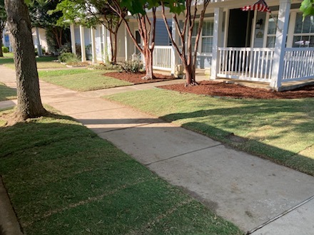 Sod Installation in Prosper