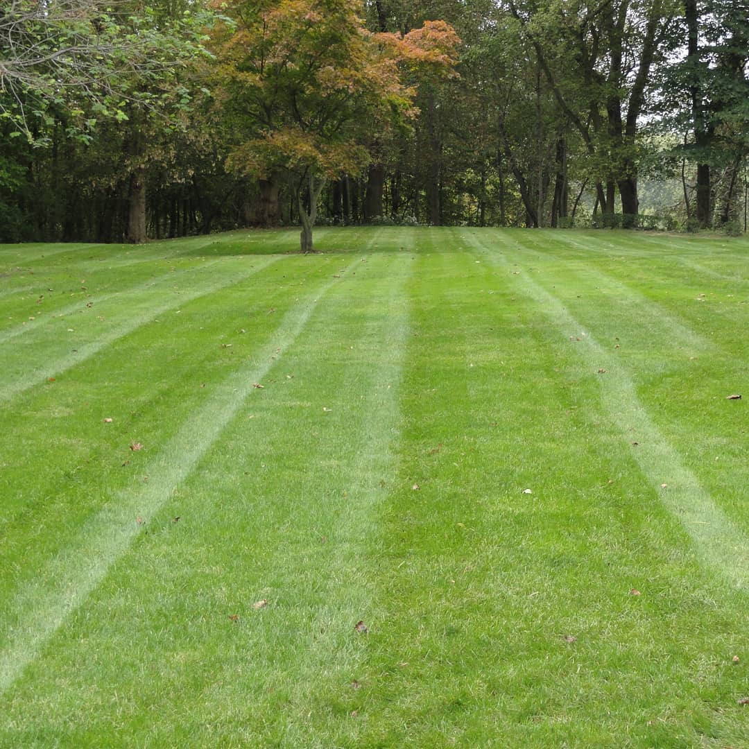 The Grounds Guys of Avon General