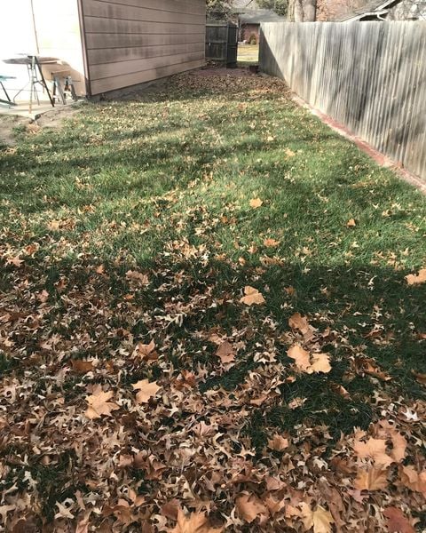 The Grounds Guys of East Wichita seasonal cleanup