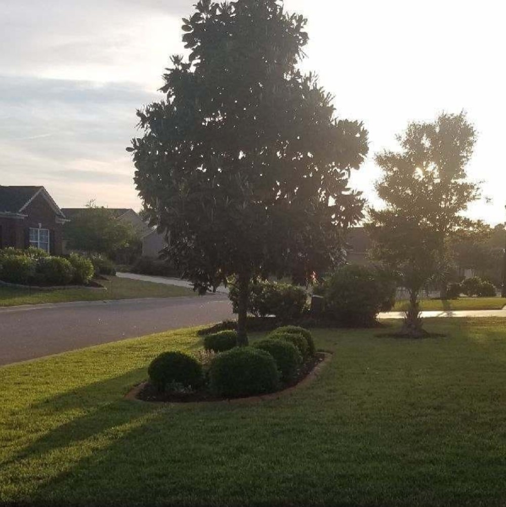 landscape design