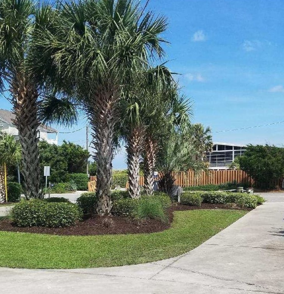 landscape design