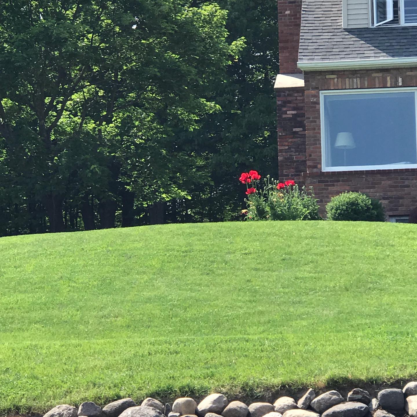 The Grounds Guys of New Albany General