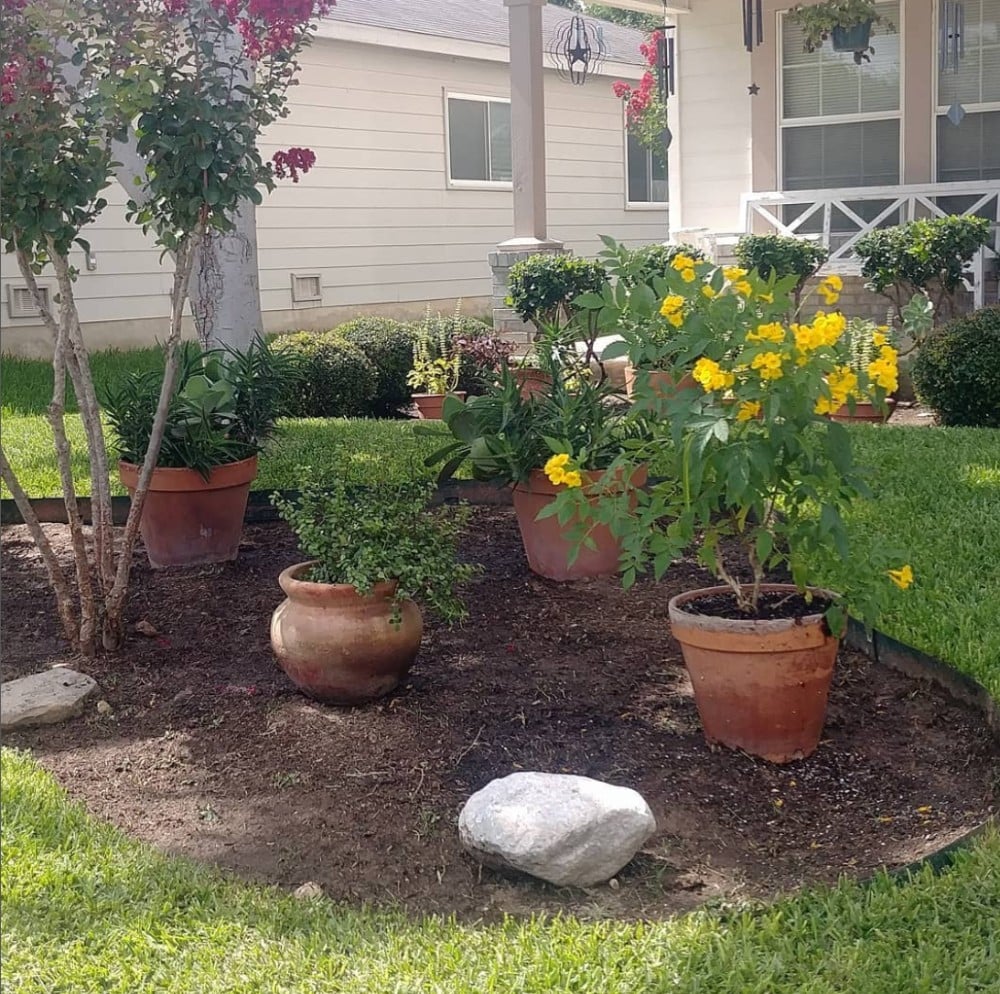 flower bed
