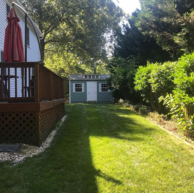 lawn maintenance