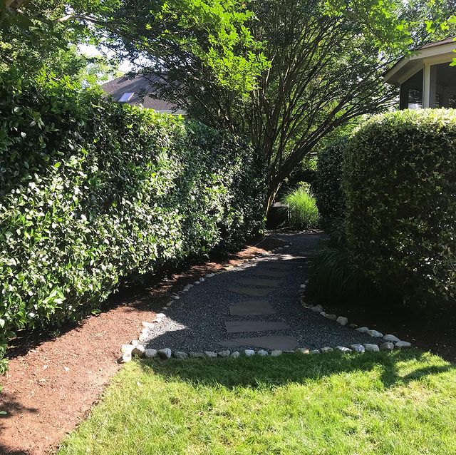 landscape design