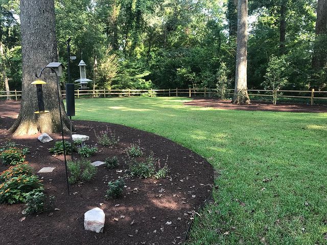 landscape design