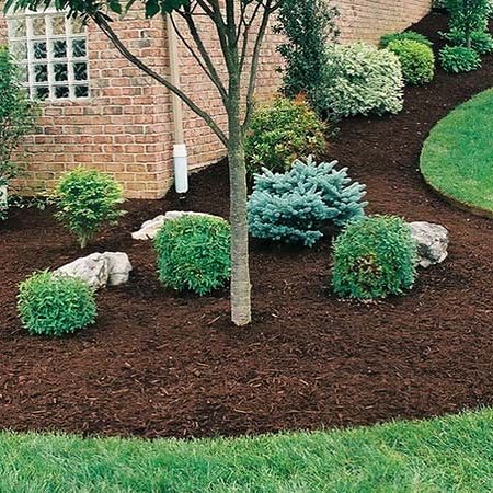 The Grounds Guys of Virginia Beach General