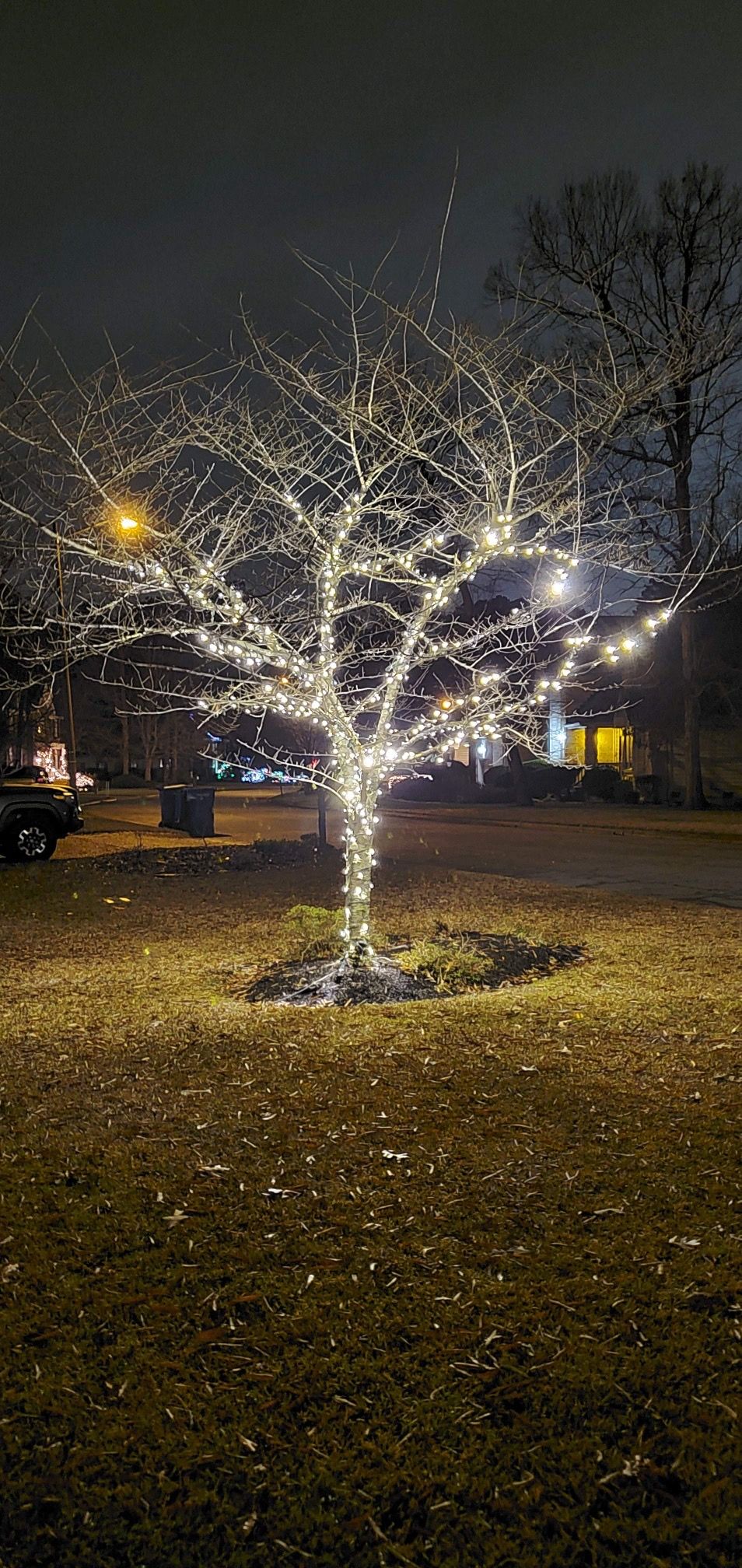 Holiday Lights
