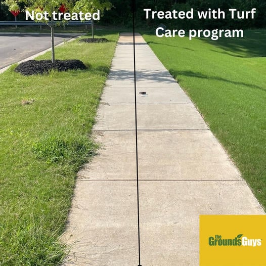 Turf Care program - See the difference!