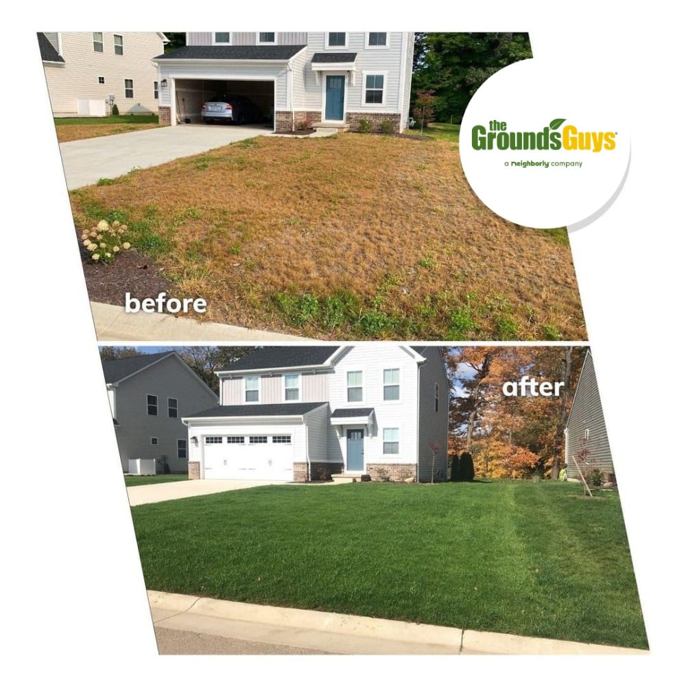 Turf Health program