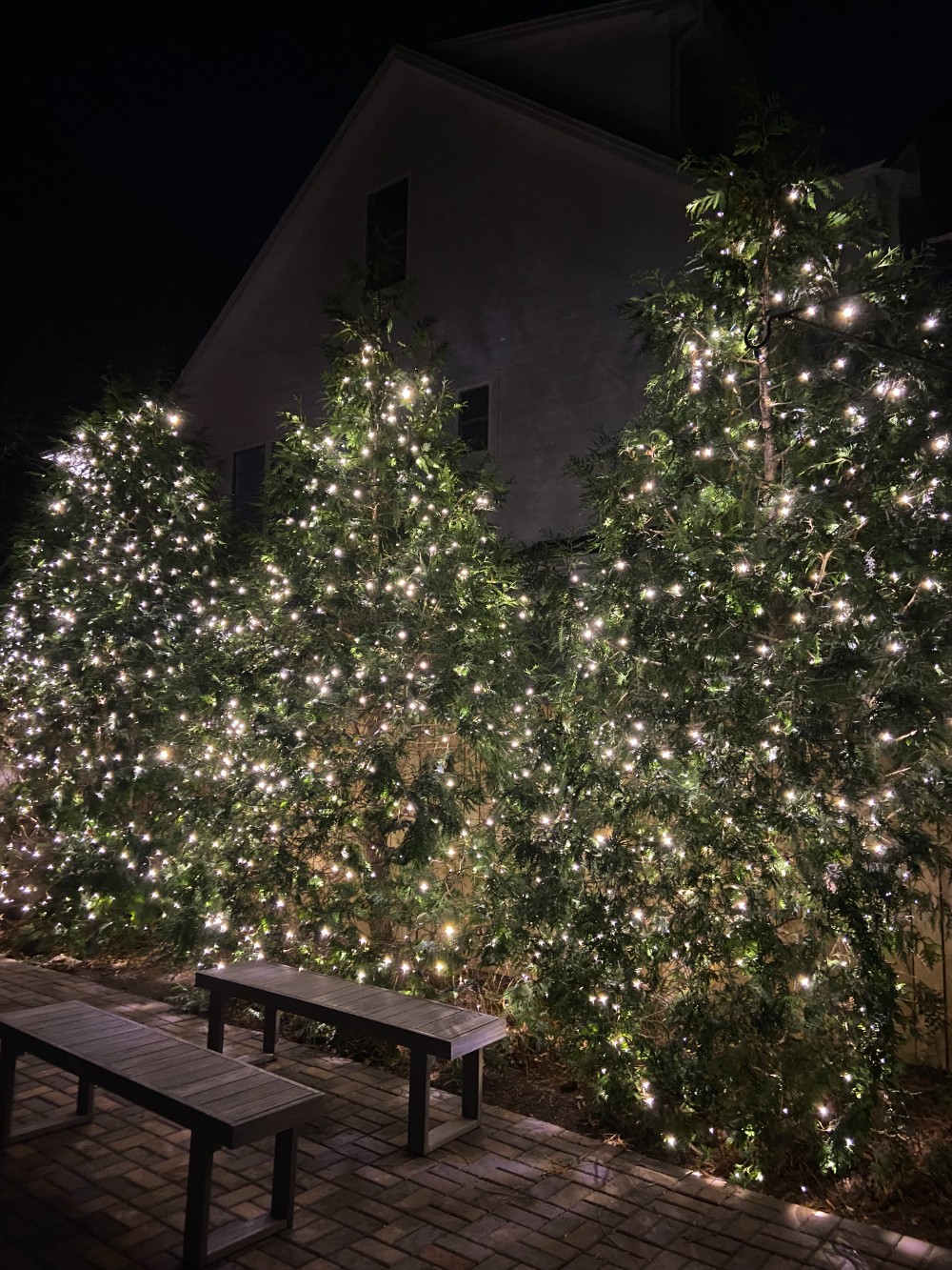 Tree Lights