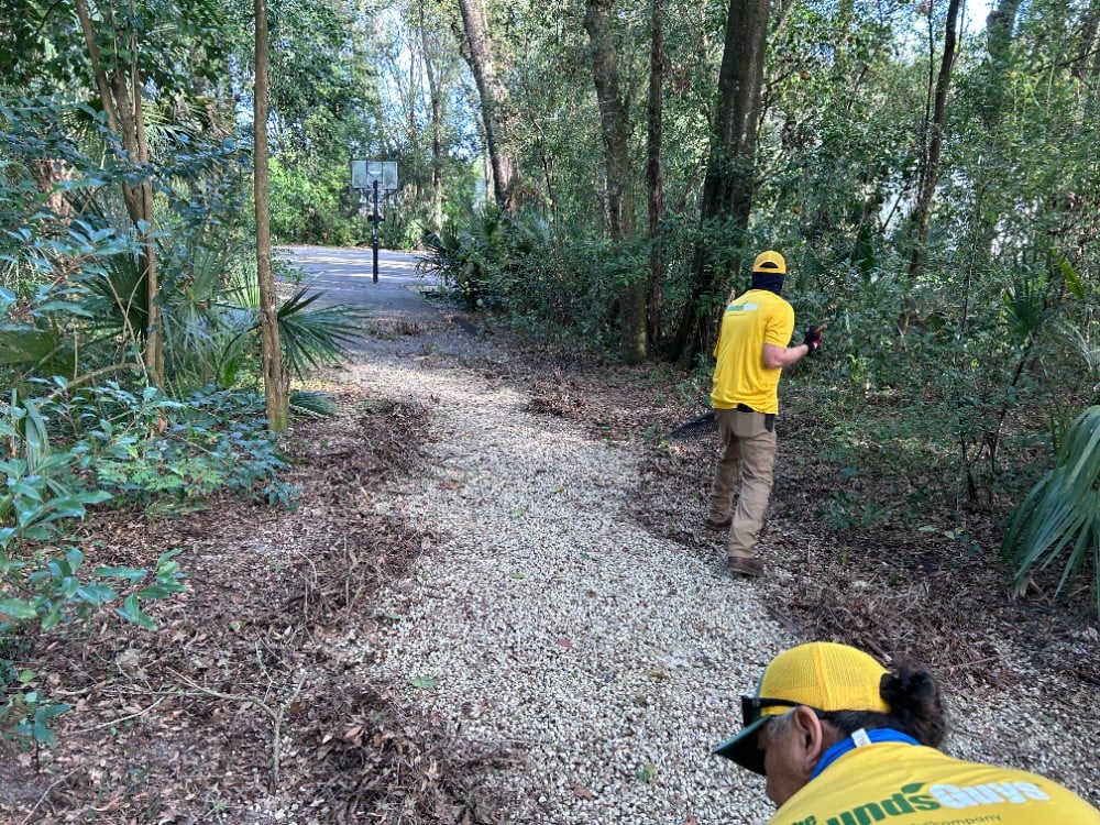 Yard Clean Ups