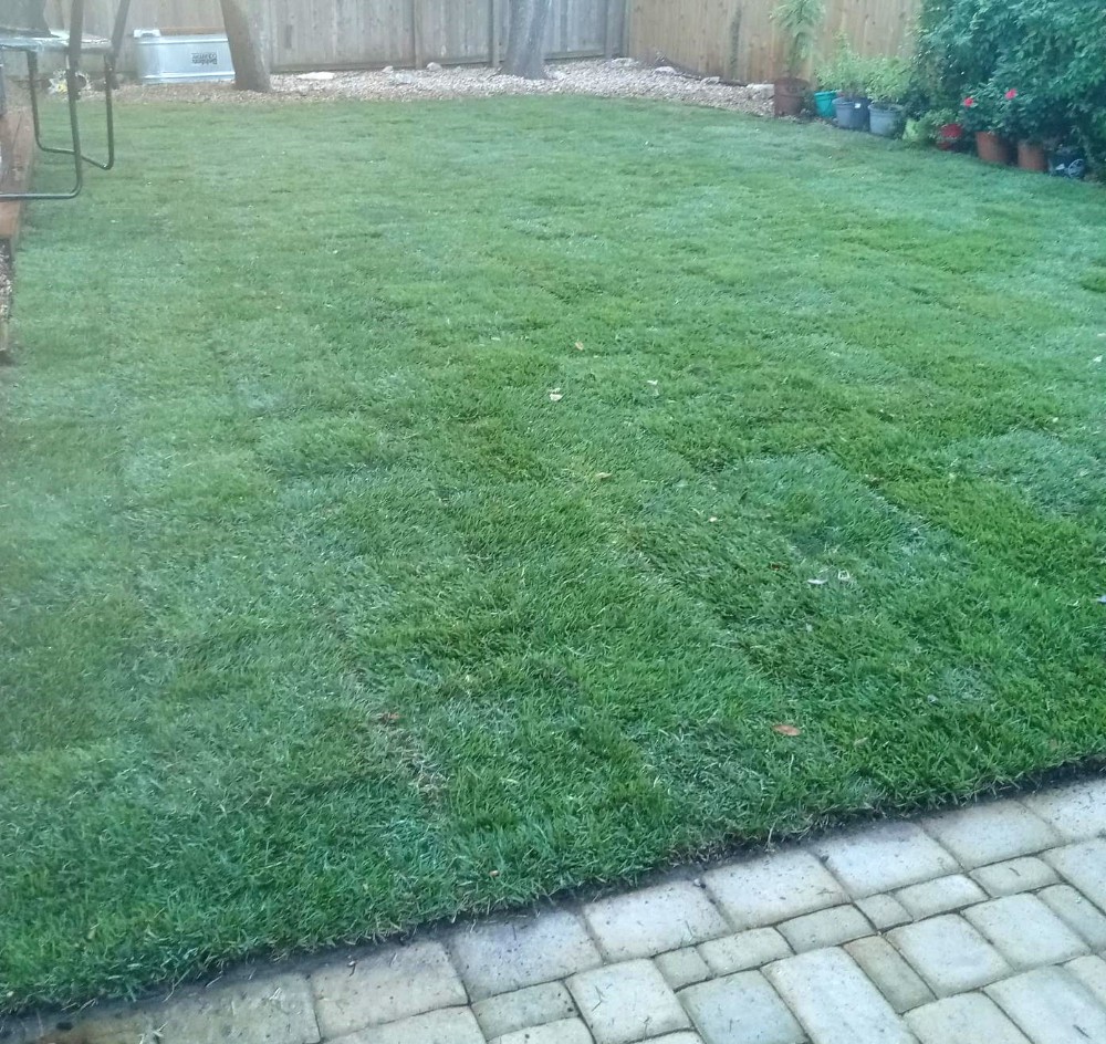 Sod Installation in Pflugerville