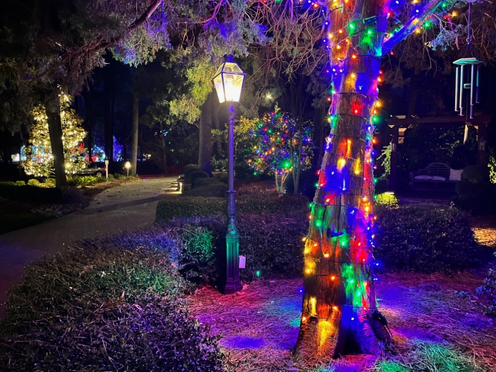 multi color lights